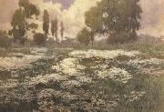 unknow artist Field of Daisies china oil painting reproduction